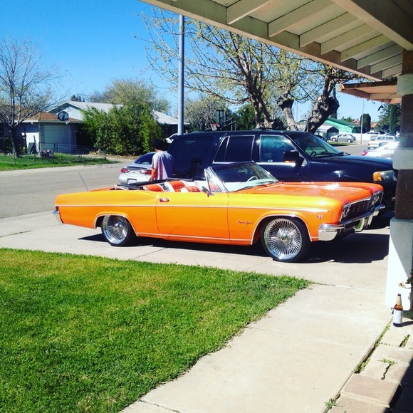 Meet your Posher, Leonardo - Picture 4 of 5